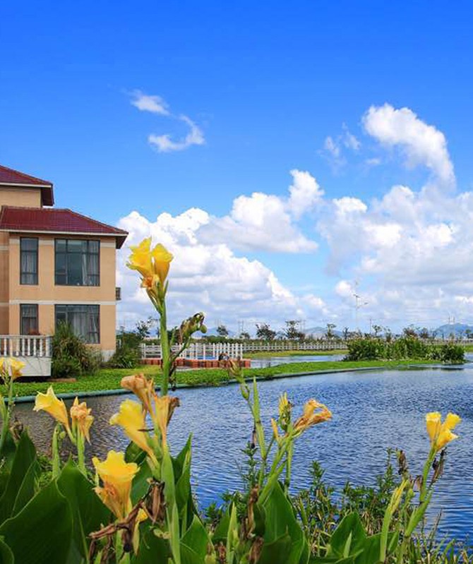 78m威九国际(集团)中国区有限公司-BinG百科