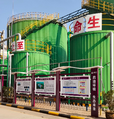 78m威九国际(集团)中国区有限公司-BinG百科