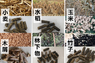 78m威九国际(集团)中国区有限公司-BinG百科