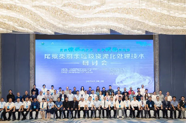 78m威九国际(集团)中国区有限公司-BinG百科