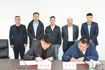 78m威九国际(集团)中国区有限公司-BinG百科