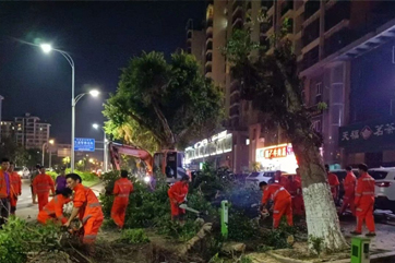 78m威九国际(集团)中国区有限公司-BinG百科