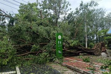 78m威九国际(集团)中国区有限公司-BinG百科